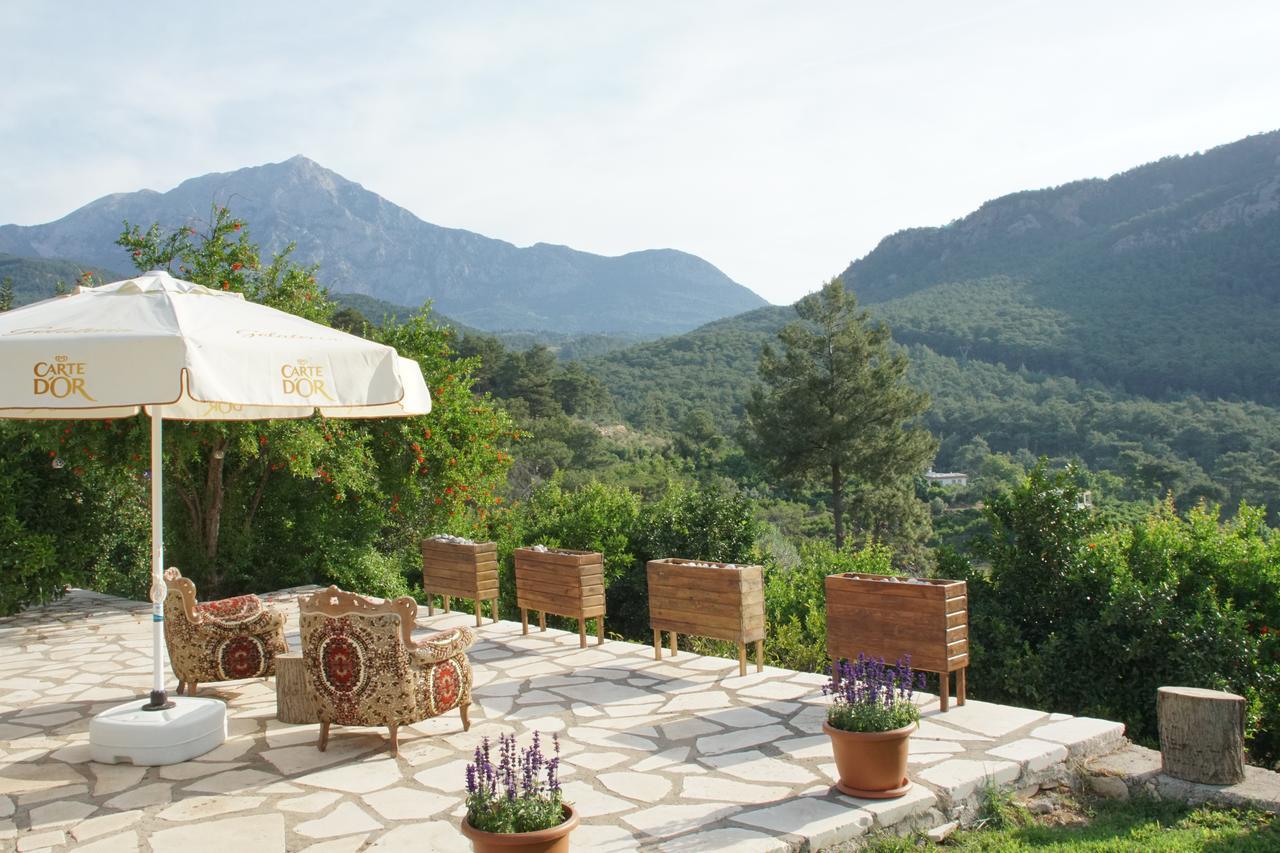 Lycia Nature House Hotel Cirali Exterior photo