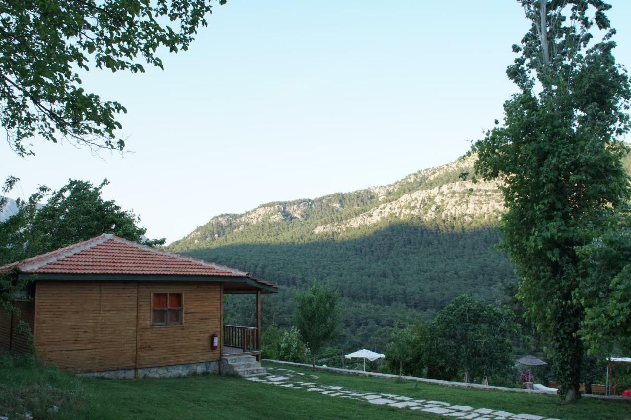 Lycia Nature House Hotel Cirali Exterior photo